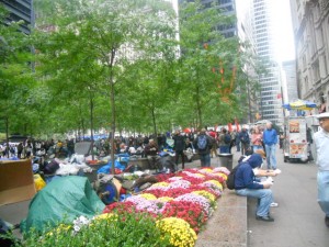 Thoughts on Occupy Wall Street